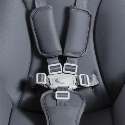 5-point safety harness