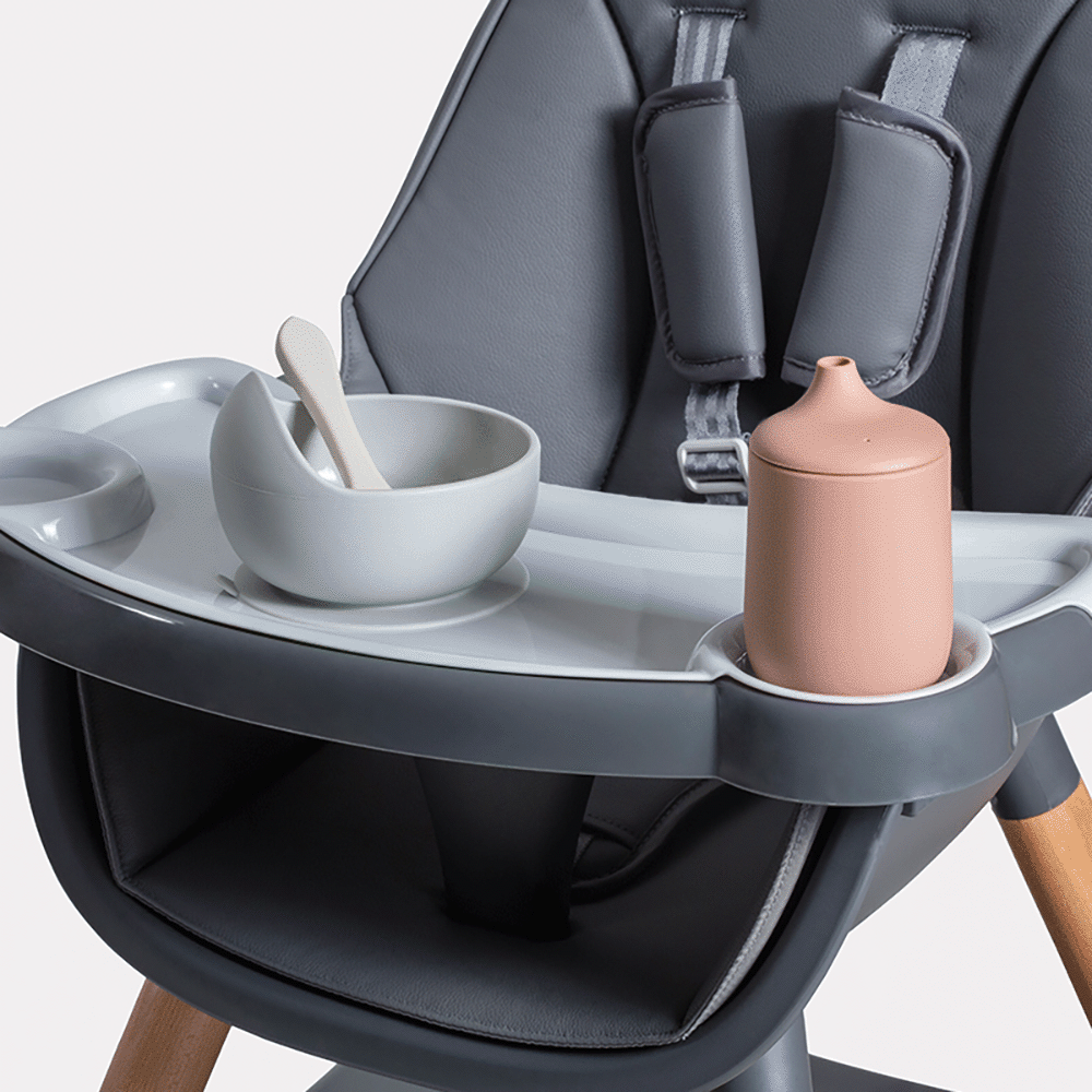 Removable, adjustable tray