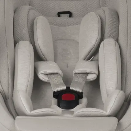Newborn insert