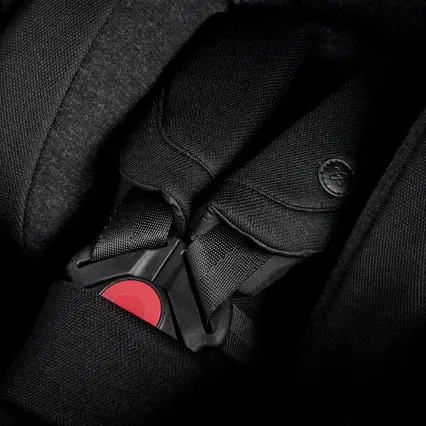 5-point safety harness
