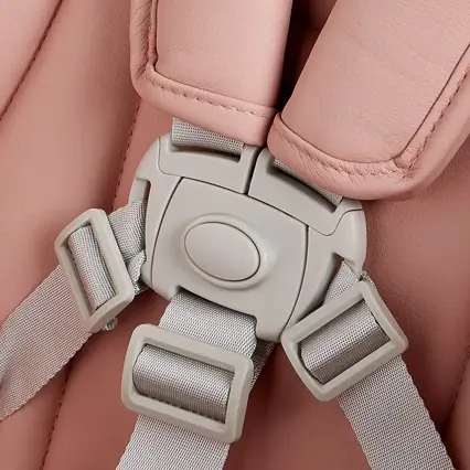 Five-point safety harness